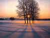 Campo invernale al tramonto