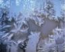 Cristalli di neve