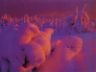 Foto neve fresca al tramonto Winter photo