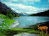 Lago di montagna Lake photo