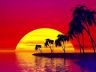 tramonto digitale