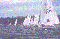 Laser in regata
