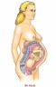 Donna al 9 mese di gravidanza