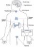 Sistema endocrino Endocrine system atlas