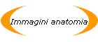 Immagini anatomia