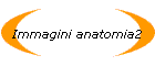 Immagini anatomia2