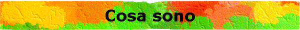 Cosa sono