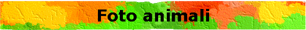 Foto animali