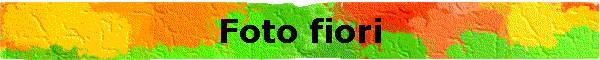 Foto fiori